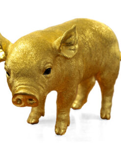 3165 - "The Golden Pig," by Sheelin Wilson