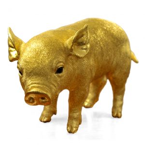 3165 - "The Golden Pig," by Sheelin Wilson