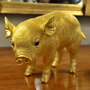 "The Golden Pig," by Sheelin Wilson