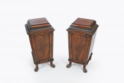 9227 - Early 19th Century Regency Pair of Pedestal Cabinets