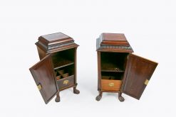 9227 - Early 19th Century Regency Pair of Pedestal Cabinets