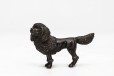 19th Century Bronze Poodle